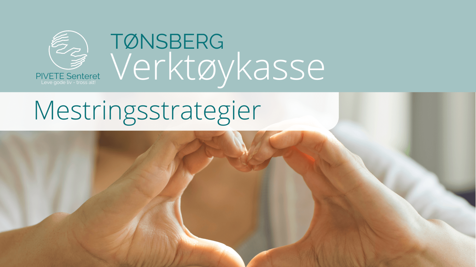 Avlyst Tønsberg: Verktøykasse, mestringsstrategier